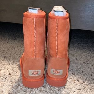 Brand new Uggs size 8 never worn box not included